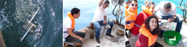 sedimentology course