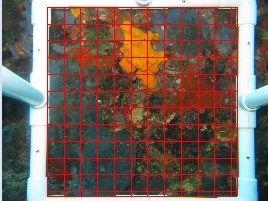 grid